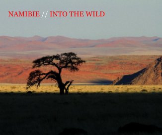 NAMIBIE // INTO THE WILD book cover
