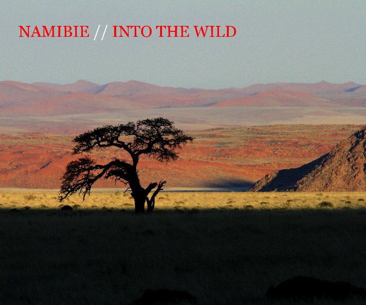 Bekijk NAMIBIE // INTO THE WILD op guilla57