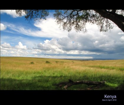 Kenya 2010 book cover