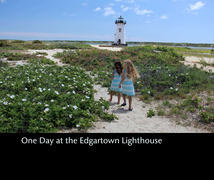 View One Day at the Edgartown Lighthouse by billewartjr