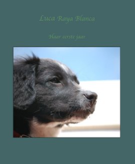 Luca Raya Blanca book cover