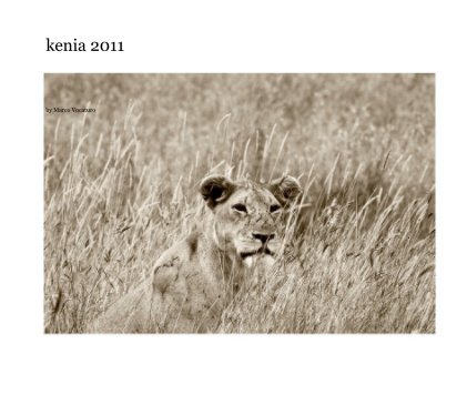 kenia 2011 book cover