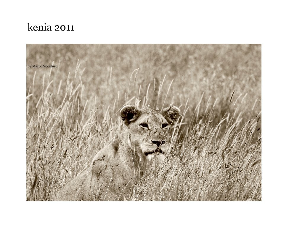 Ver kenia 2011 por Marco Vocaturo
