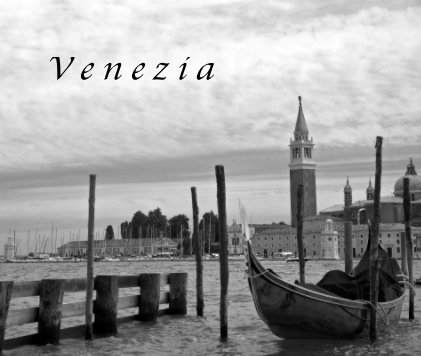 Venezia 2011 book cover