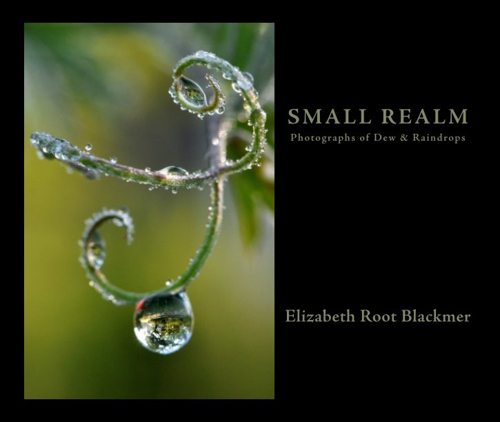 View Small Realm by Elizabeth Root Blackmer