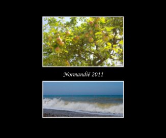 normandie book cover