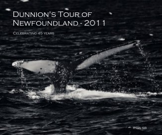 Dunnion's Tour of Newfoundland - 2011 book cover