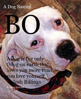 A Dog Named BO book cover