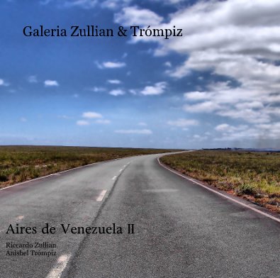 Galeria Zullian & Trómpiz book cover