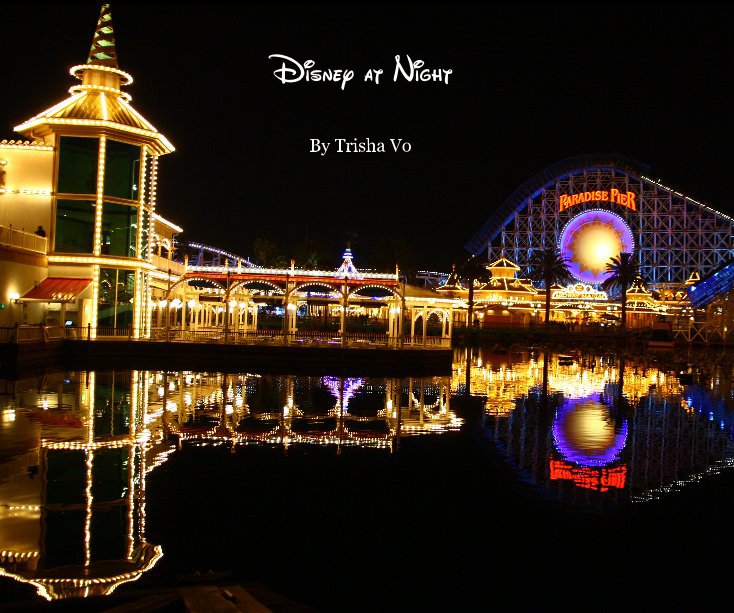 View Disney at Night by Trisha Vo