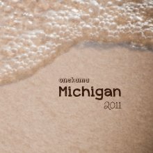 Michigan 2011 book cover