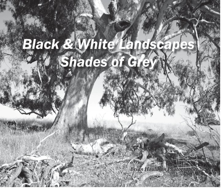 Ver Black & White Landscapes por Brian Houlihan