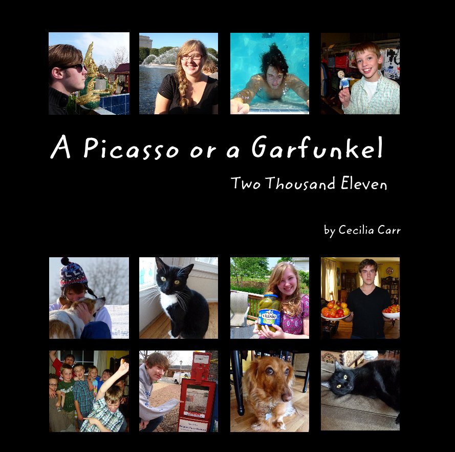 View A Picasso or a Garfunkel Two Thousand Eleven by Cecilia Carr