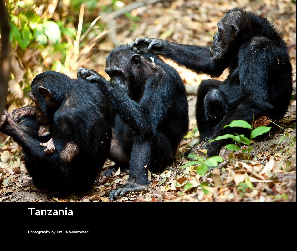 View Tanzania by Photography by Ursula Meierhofer