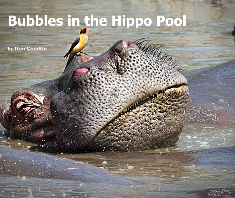 View Bubbles in the Hippo Pool by Ron Goodlin