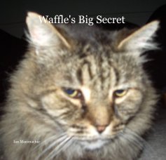 Waffle's Big Secret book cover