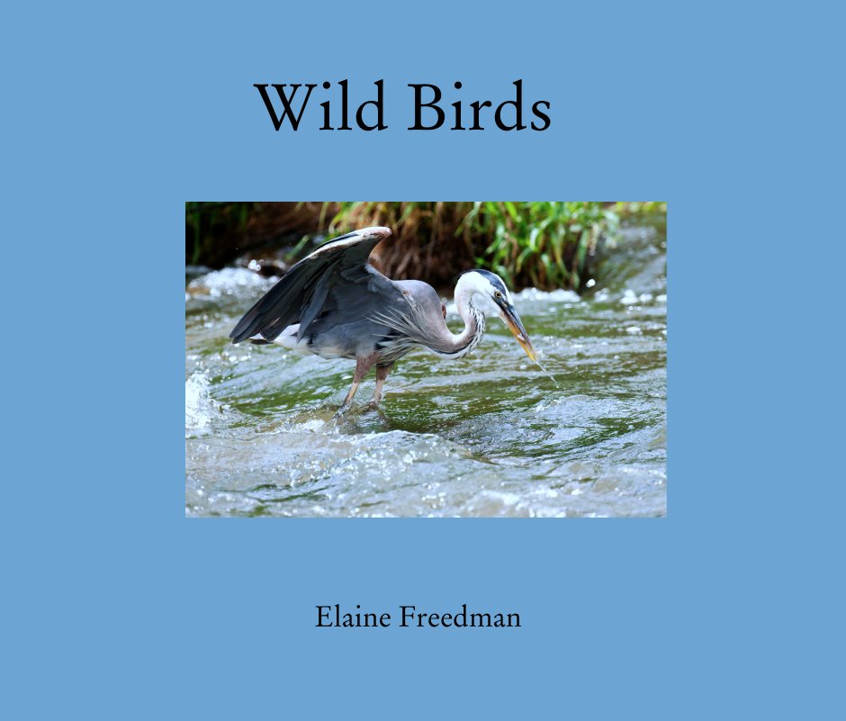 View Wild Birds by Elaine Freedman