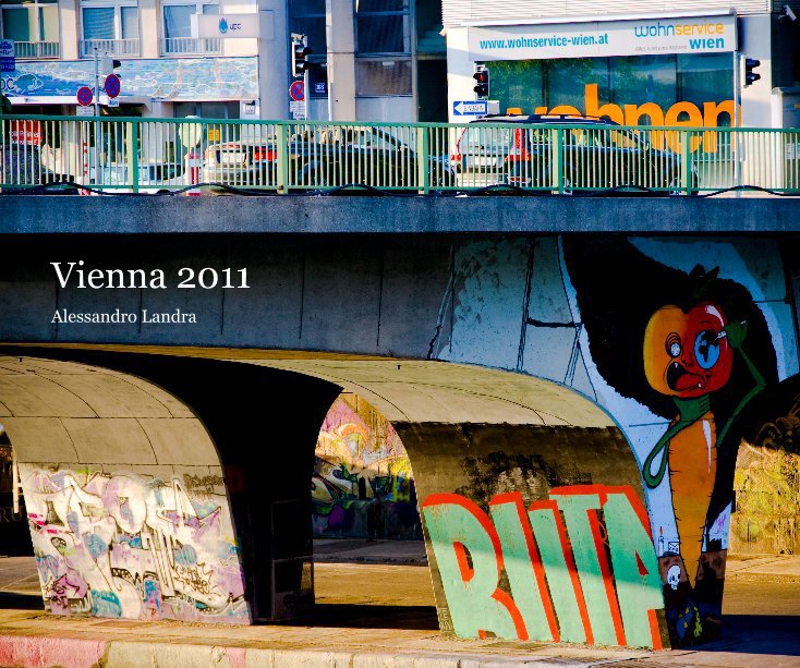 View Vienna 2011 by Alessandro Landra