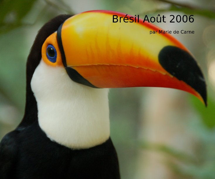 Ver Brésil Août 2006 por Coati
