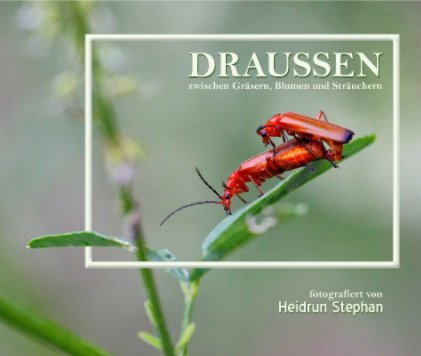 DRAUSSEN zwischen Gräsern, Blumen und Sträuchern book cover