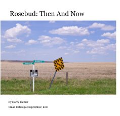 Rosebud: Then And Now book cover