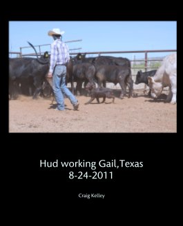 Hud working Gail,Texas 8-24-2011 book cover