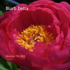 Blurb Delta book cover