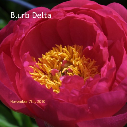 View Blurb Delta by BASMP7