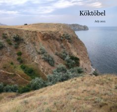 Köktöbel July 2011 book cover