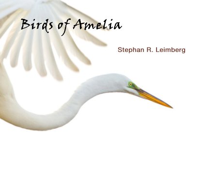 Birds of Amelia book cover