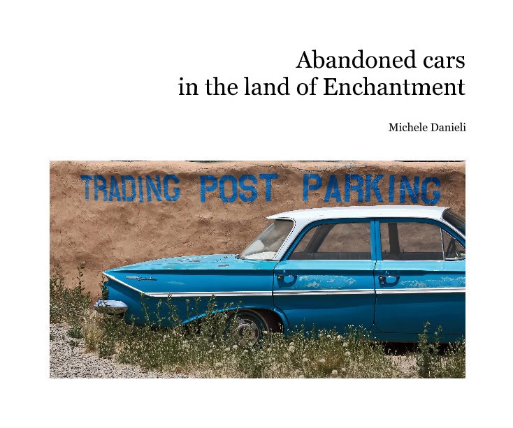 Abandoned cars in the land of Enchantment by Michele