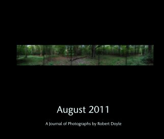 August 2011 book cover