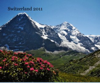 Switzerland 2011 book cover