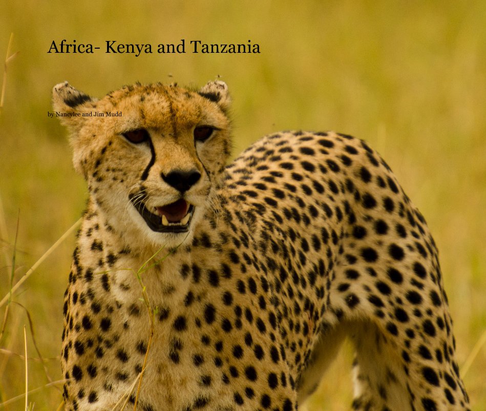 View Africa- Kenya and Tanzania by Nancylee and Jim Mudd