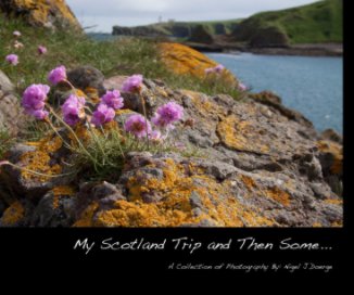 My Scotland Trip and Then Some.. book cover