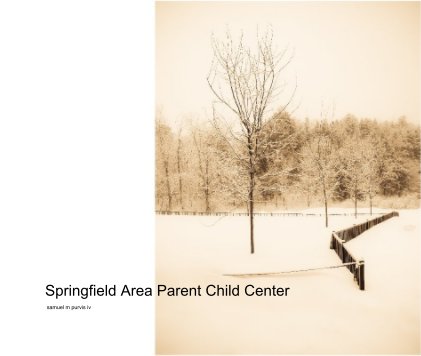 Springfield Area Parent Child Center book cover