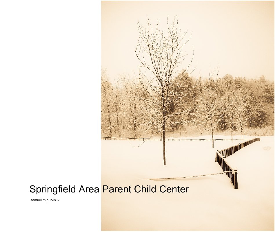 View Springfield Area Parent Child Center by samuel m purvis iv