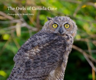 The Owls of Canada Cove - Second Edition book cover