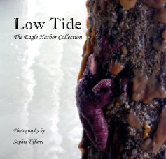 Low Tide The Eagle Harbor Collection book cover