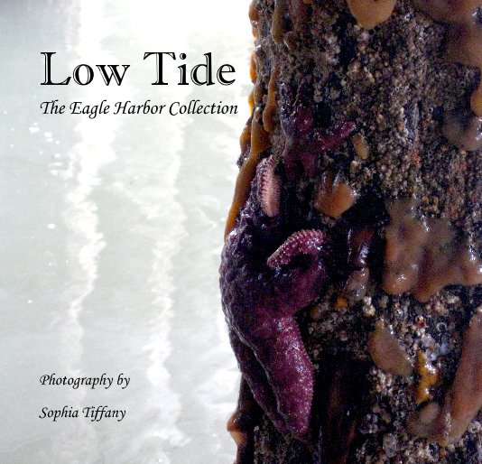 View Low Tide The Eagle Harbor Collection by Sophia Tiffany