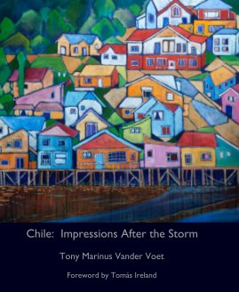Chile: Impressions After the Storm book cover