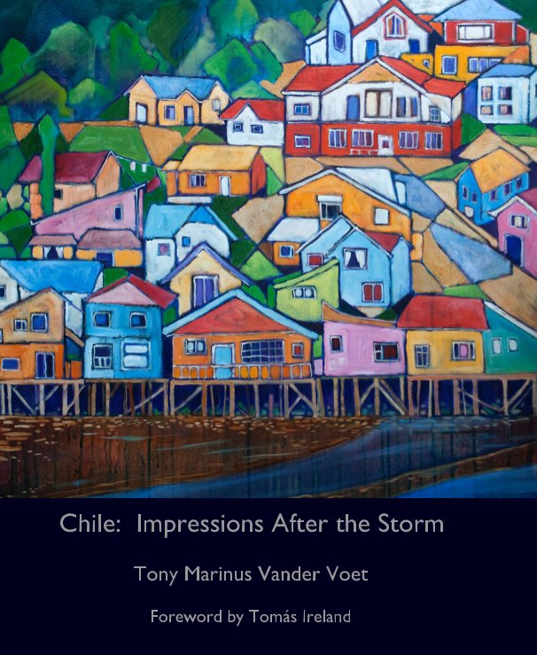 View Chile: Impressions After the Storm by Tony Marinus Vander Voet Foreword by Tomás Ireland