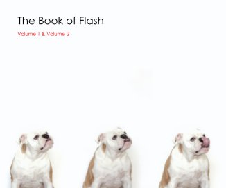 The Book of Flash book cover
