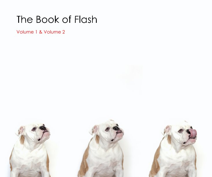View The Book of Flash by focusgroup