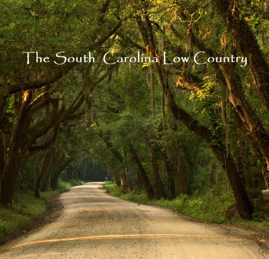View The South Carolina Low Country by Ann Currie Williams