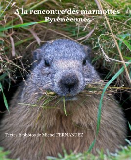 A la rencontre des marmottes Pyrénéennes book cover