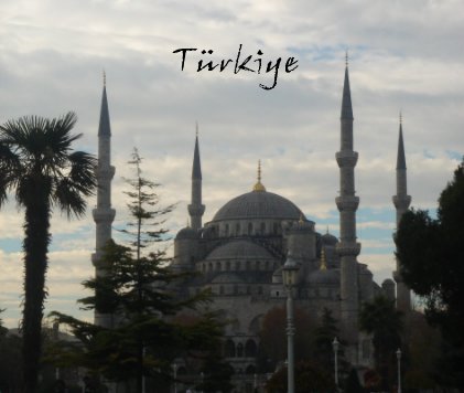 Türkiye book cover