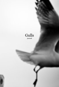 Gulls Journals book cover