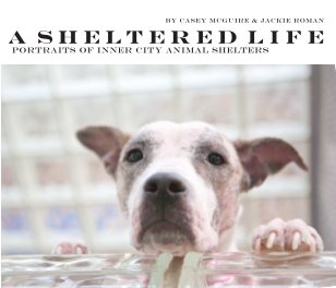 A Sheltered Life book cover