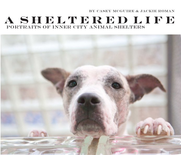 View A Sheltered Life by Casey McGuire, Jackie Roman